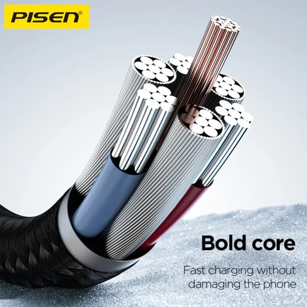 PISEN PRO C to C 60W colorful braided data cable CC11-1000 - Image 4